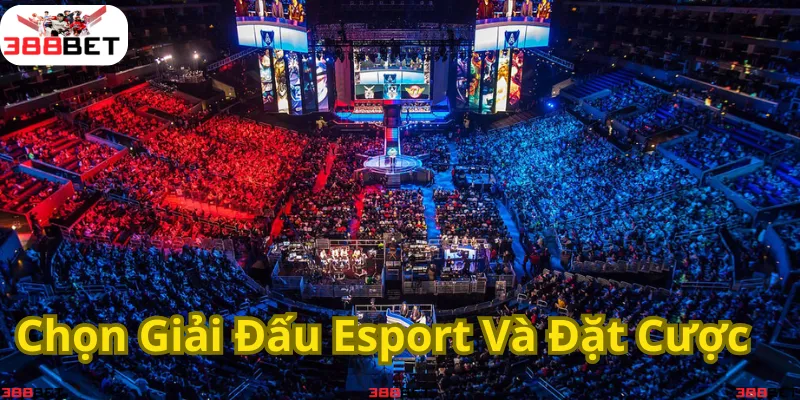 Tham gia cá cược Esport – Chọn giải đấu hấp dẫn và tận hưởng những trận đấu kịch tính